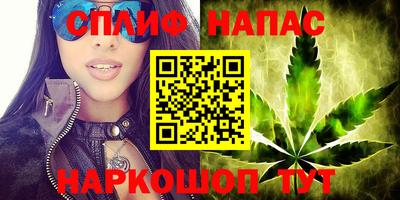 стаф Анжеро-Судженск