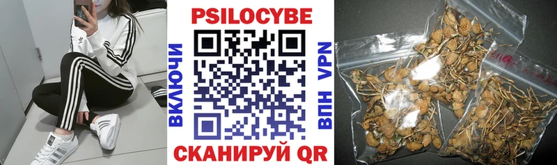 Псилоцибиновые грибы Magic Shrooms  Раменское 
