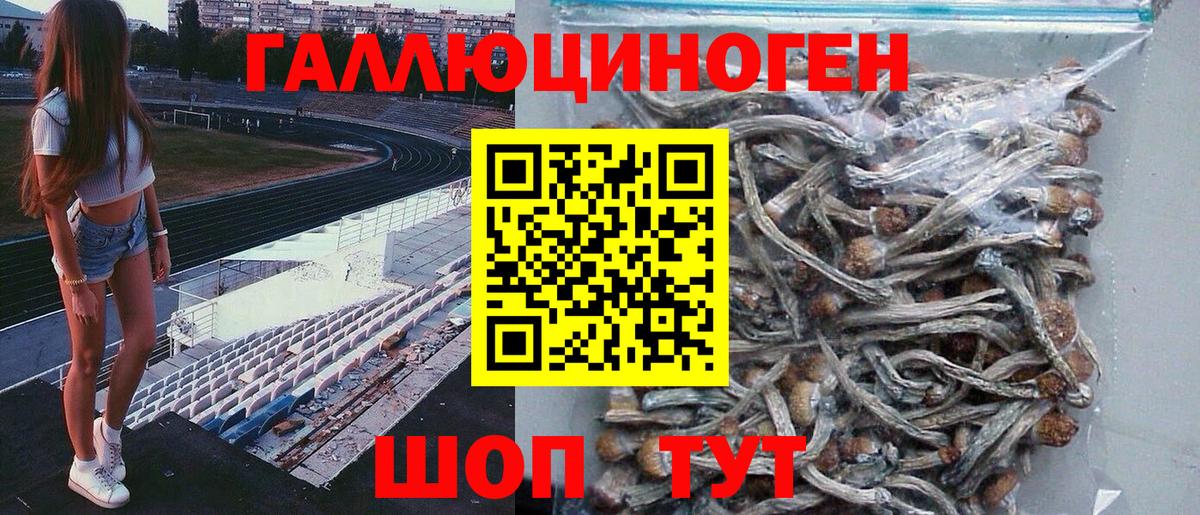 Галлюциногенные грибы Cubensis Раменское