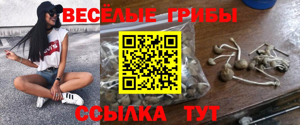 Раменское  цена наркотик  Вход с VPN  Псилоцибиновые грибы GOLDEN TEACHER 